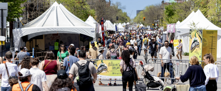 A Look Back at the 2026 Montreal Comic Arts Festival: A Memorable 15th Edition